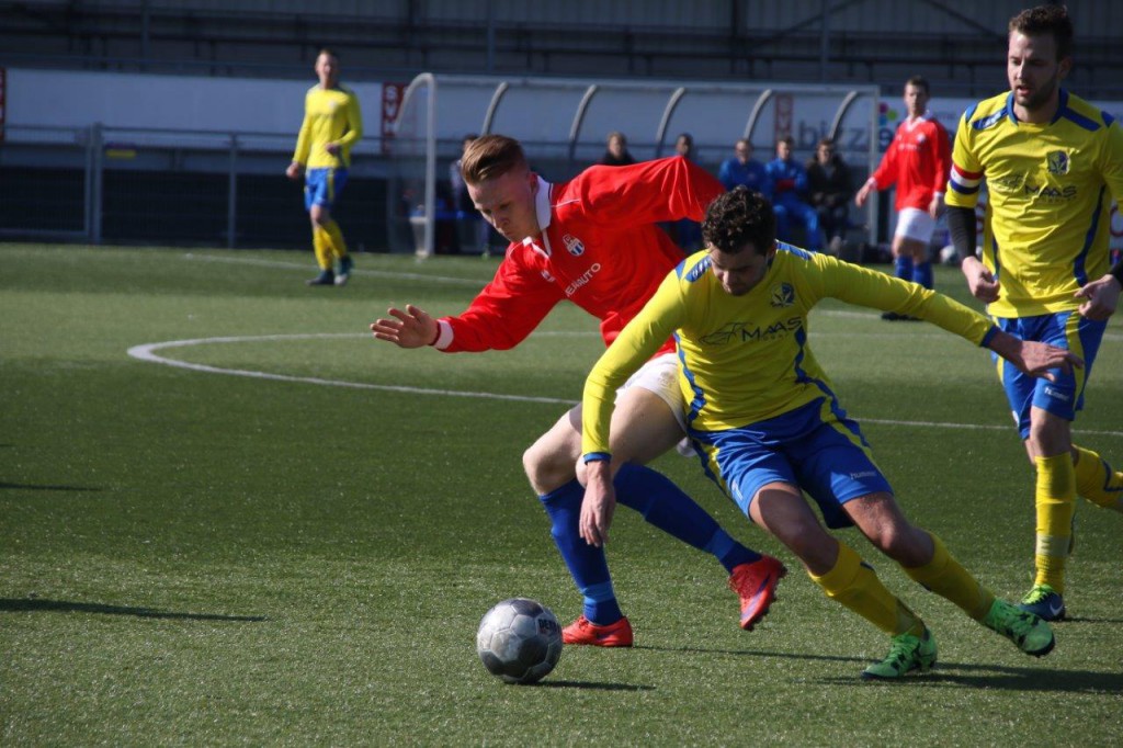 Hoofddorp - Legmeervogels